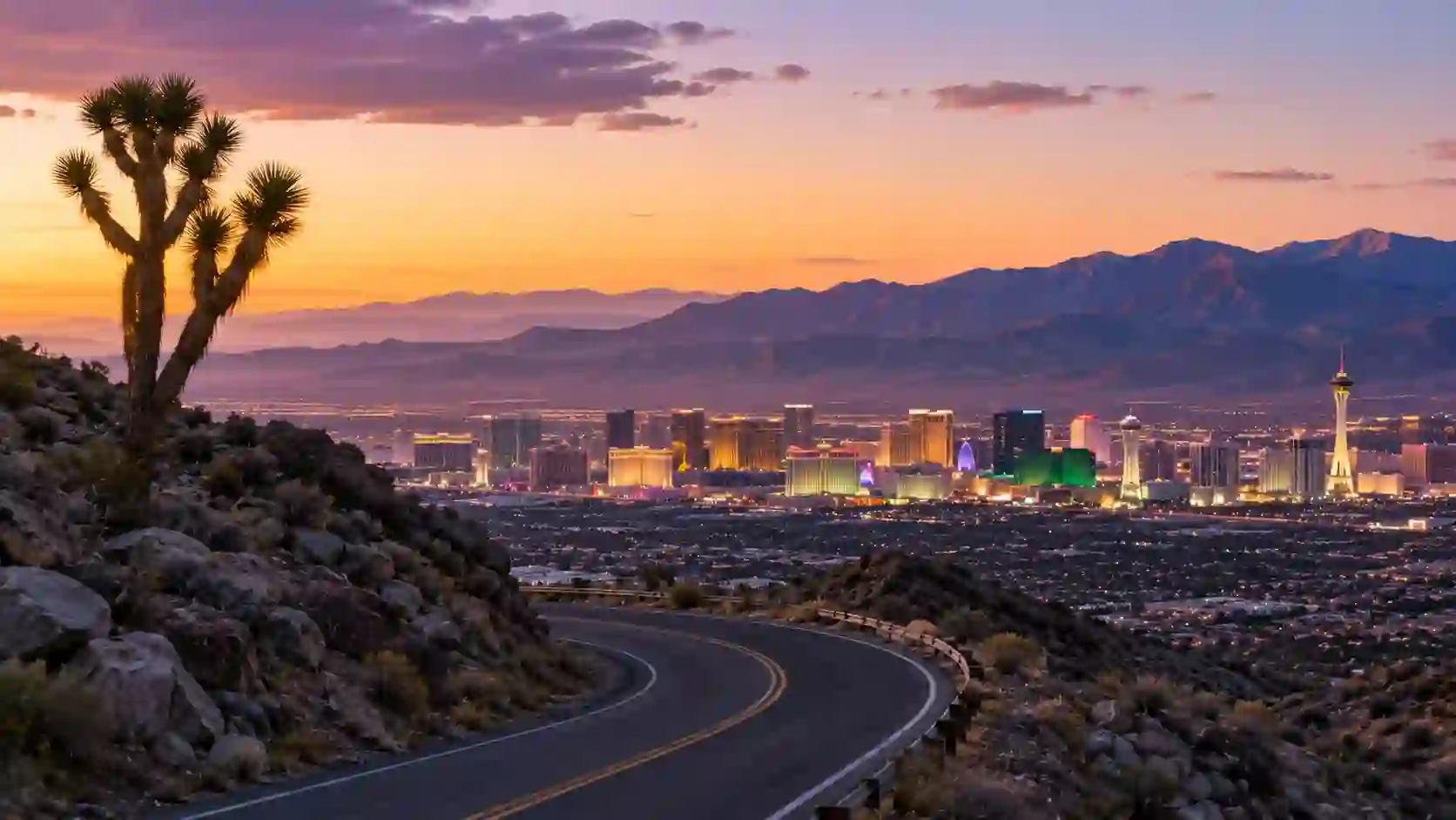 Buy Nevada DID Number – Las Vegas & Reno Local Numbers